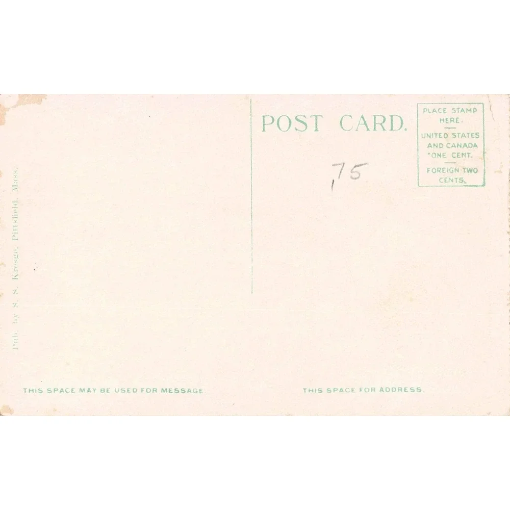 Vintage Onota Lake from Salisbury Grounds Pittsfield Mass Postcard SS Kresge VG